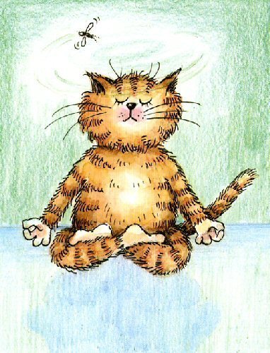 Meditating Cat