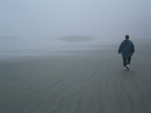 kats in the fog