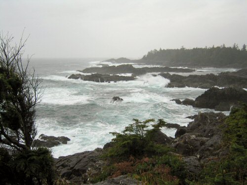 Stormwatching