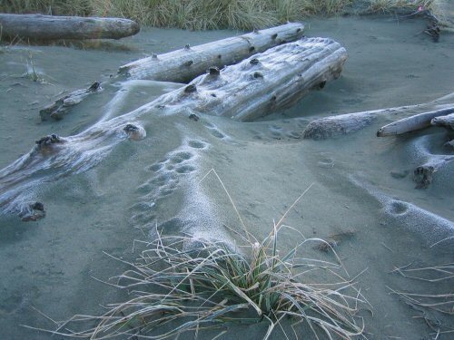 frozen sands