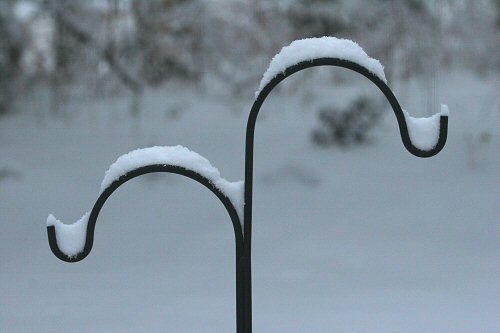 snowey curves