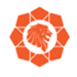Leo-sunergy-logo