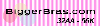 BiggerBras.com