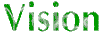 Vision