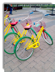 bikes