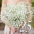 25_carriegoldberg-1