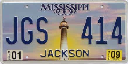 2009 MS