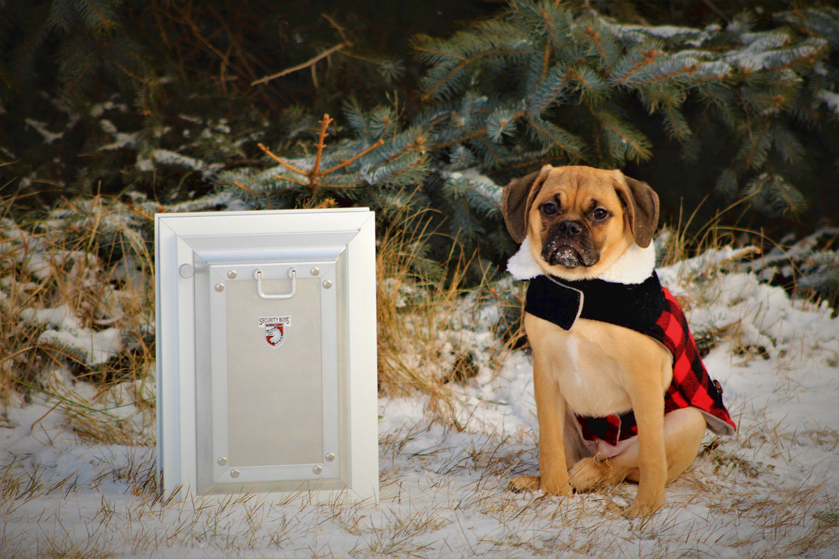 Best Where Can I Find Screen Door With Doggie Door