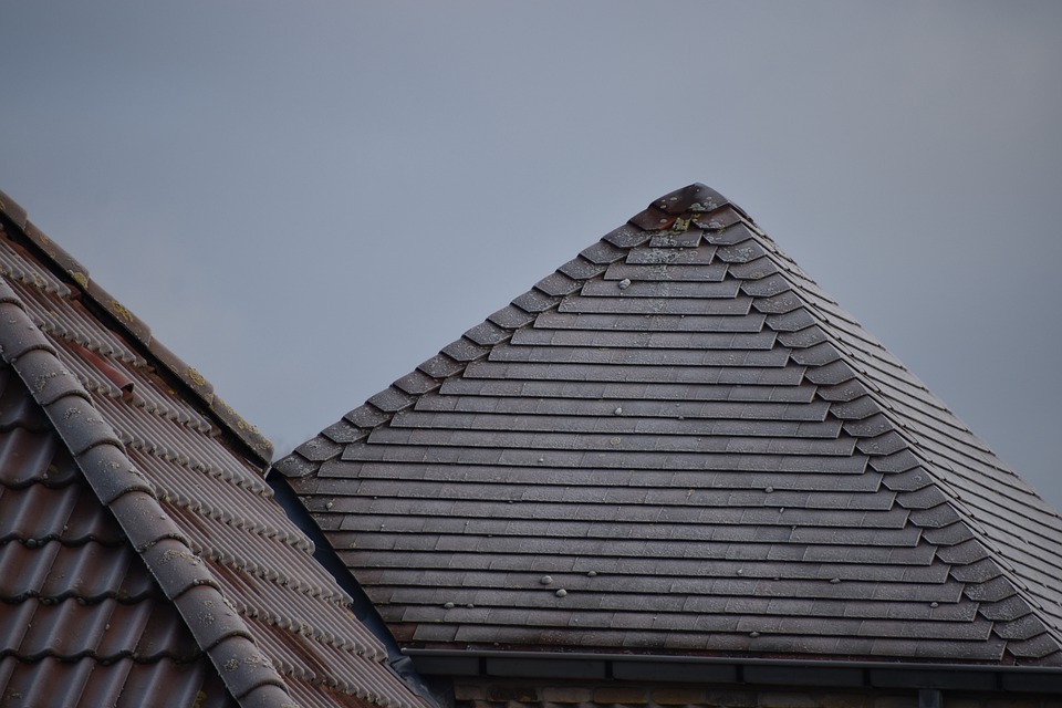 Shingle Roofing Company in Greenwood Missouri