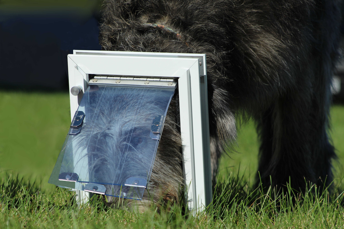 Best Shop Dog Door Installation