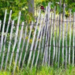 Vinyl Fence in Branson MO – 6 Tips For Choosing The Best Company