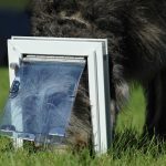 Where Can I Find Screen Door With Doggie Door