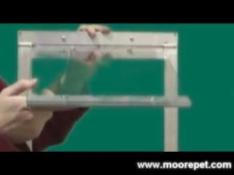 Cat Doors, Flaps, and Electronic Cat Doors – 3 Things To Consider