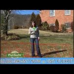 Choose The Right Branson MO Pool Fence Company