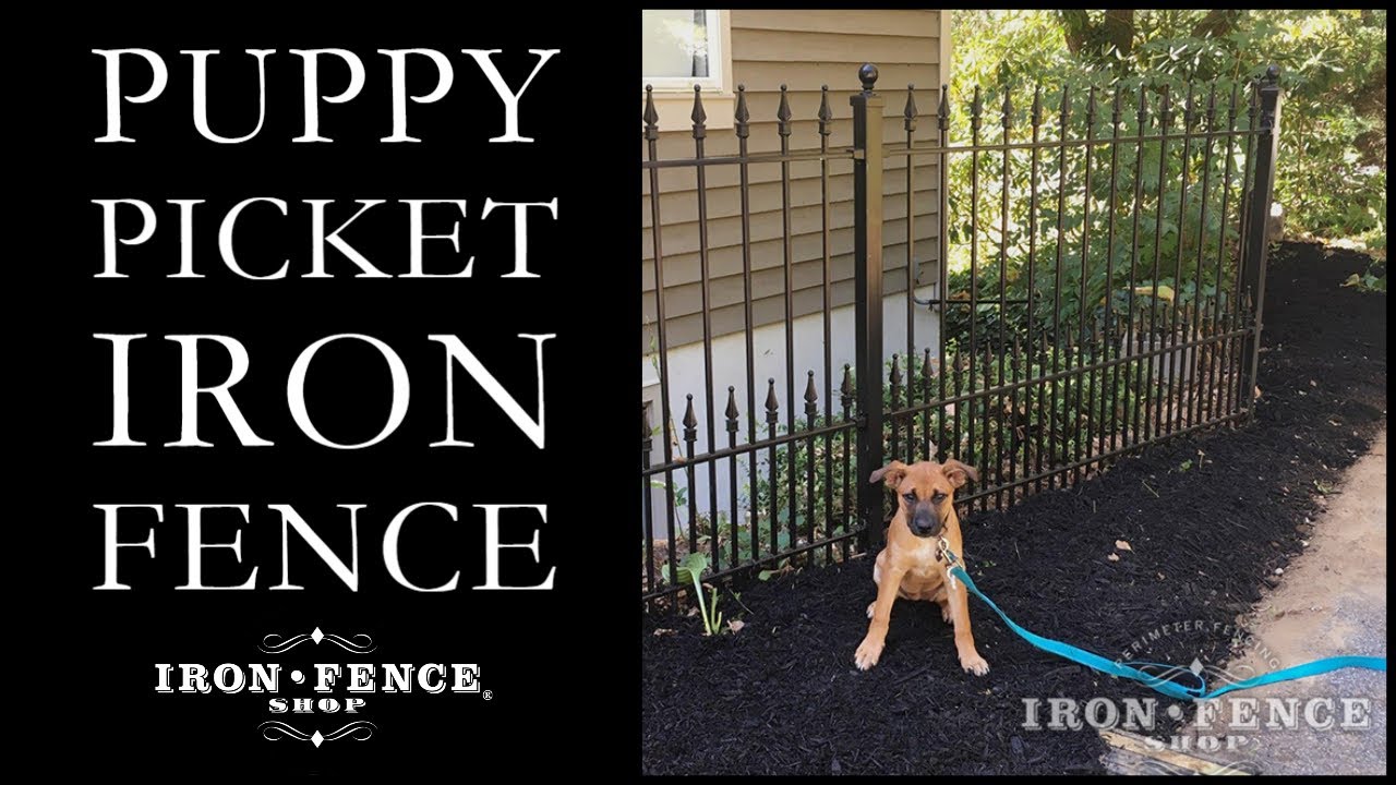 Choosing Branson MO Gazebos