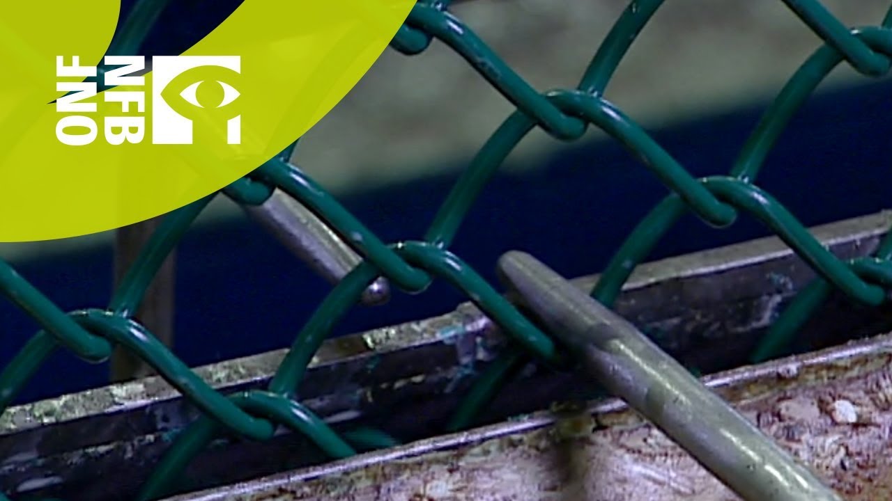 Fence Installation Near Springfield MO