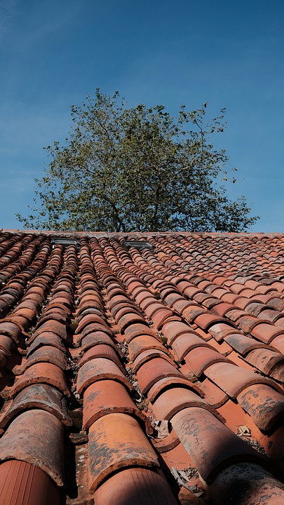 Cleaning Company in St. Joseph MO