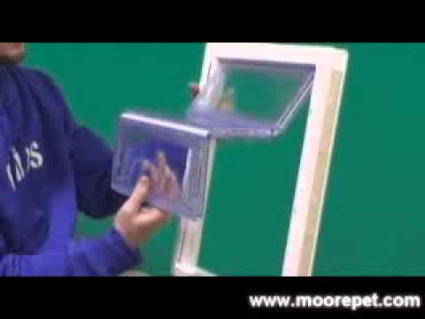 Where Can I Find Window Doggie Door