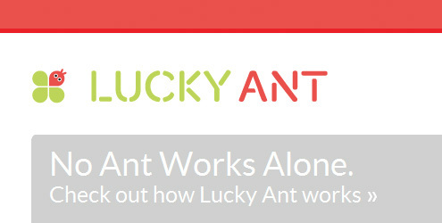 Luckyant3_copy