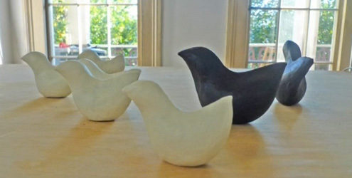 Bird_project