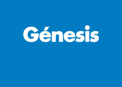 Genesis_projects_medium