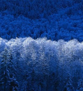 Winter_medium