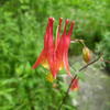 Img_0001_6_thumb