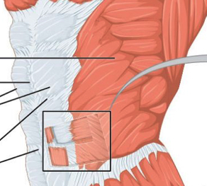 Anal dvt stitches pics 487