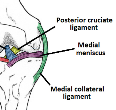 medial collateral ligament tear grading management teachmesurgery