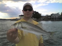 Picture_332