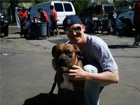 Carwashdog