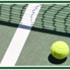 Tennis_court_thumb
