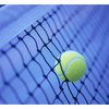 345675_tennis-ball-in-net-posters_thumb