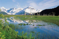 alaska 4