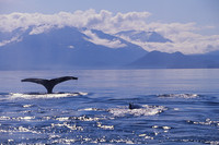 alaska4