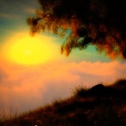 Large_43244f7ae50ad1927693ed6fd78be355