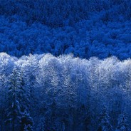 Large_d093643e311d53f6fa6739c76d47db58