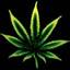 Medium_36e55bd564834326fce999f23b0db64c