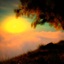 Medium_43244f7ae50ad1927693ed6fd78be355