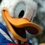 Medium_50e97a25fc028d05511e854ffa5952bb