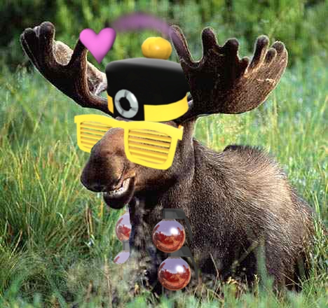 http://s3.amazonaws.com/tf2pug_eldorado/files/moose1.jpg