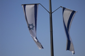 Israel in a Bubble image