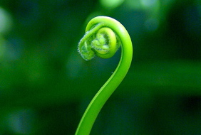 Conserving Knowledge image
