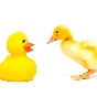 The Authenticity Hoax