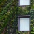 Earth Day: Living Green
