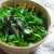 Eating Green