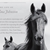 Wild Horse Annie and the Last of the Mustangs
