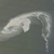 What the Gulf Oil Disaster Tells Us