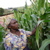Poor Farmers, Ignorant Westerners