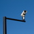 CCTVs: Watching Us While We See Nothing